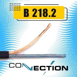 B 218.2 کانکشن Connection