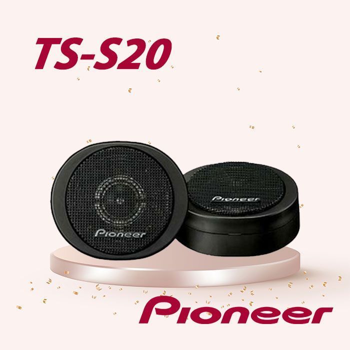 pioneer ts20