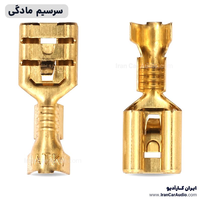 سرسیم مادگی