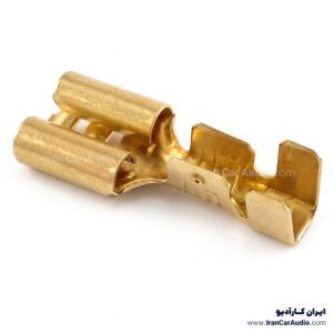 سرسیم مادگی