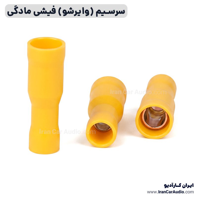 سرسیم (وایرشو) فیشی مادگی