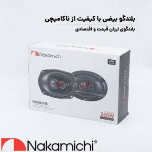 NSE6918 بلندگو ناکامیچی Nakamichi