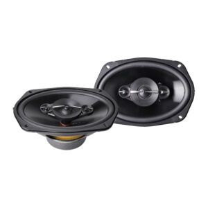 بلندگو بیضی ناکامیچی Nakamichi NSG6959