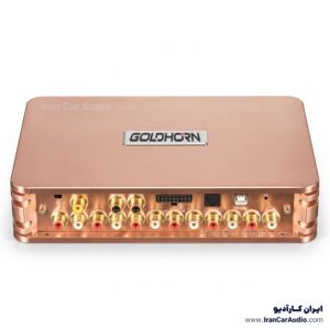 P2 DSP PRO پروسسور گلدهورن GoldHorn